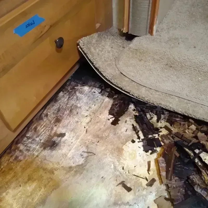 Best Wood Floor Water Damage Service in Craighead County, AR